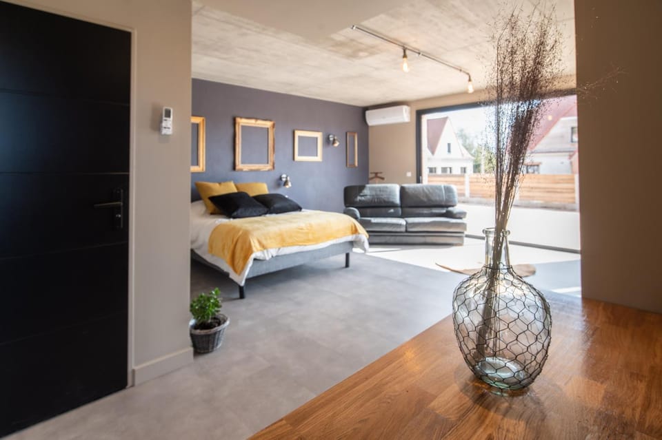 Bed, Living room, Photo of the whole room, Seating area, Bedroom
