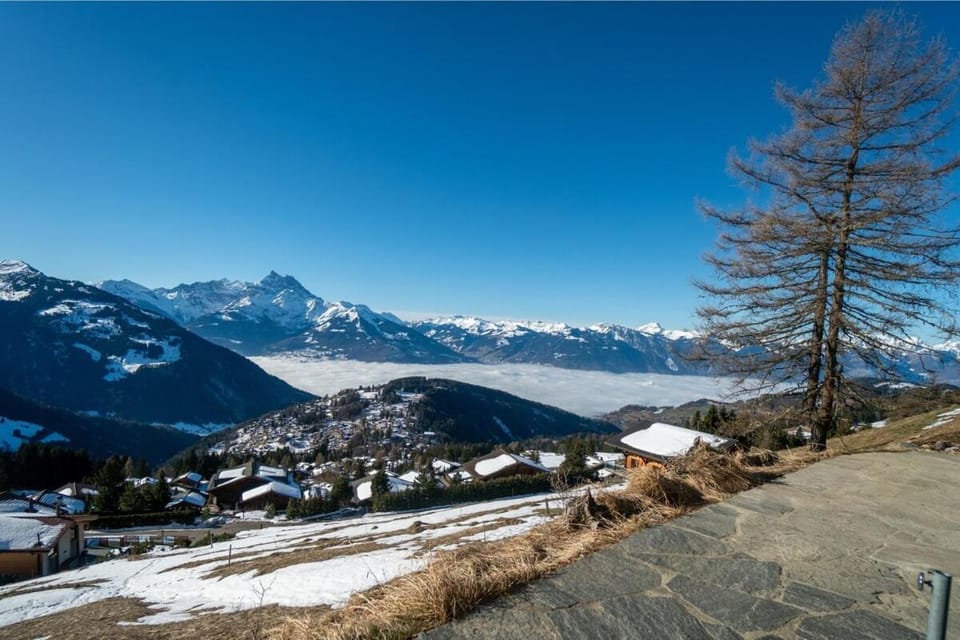 Chalet Choucas Chalet in Ollon