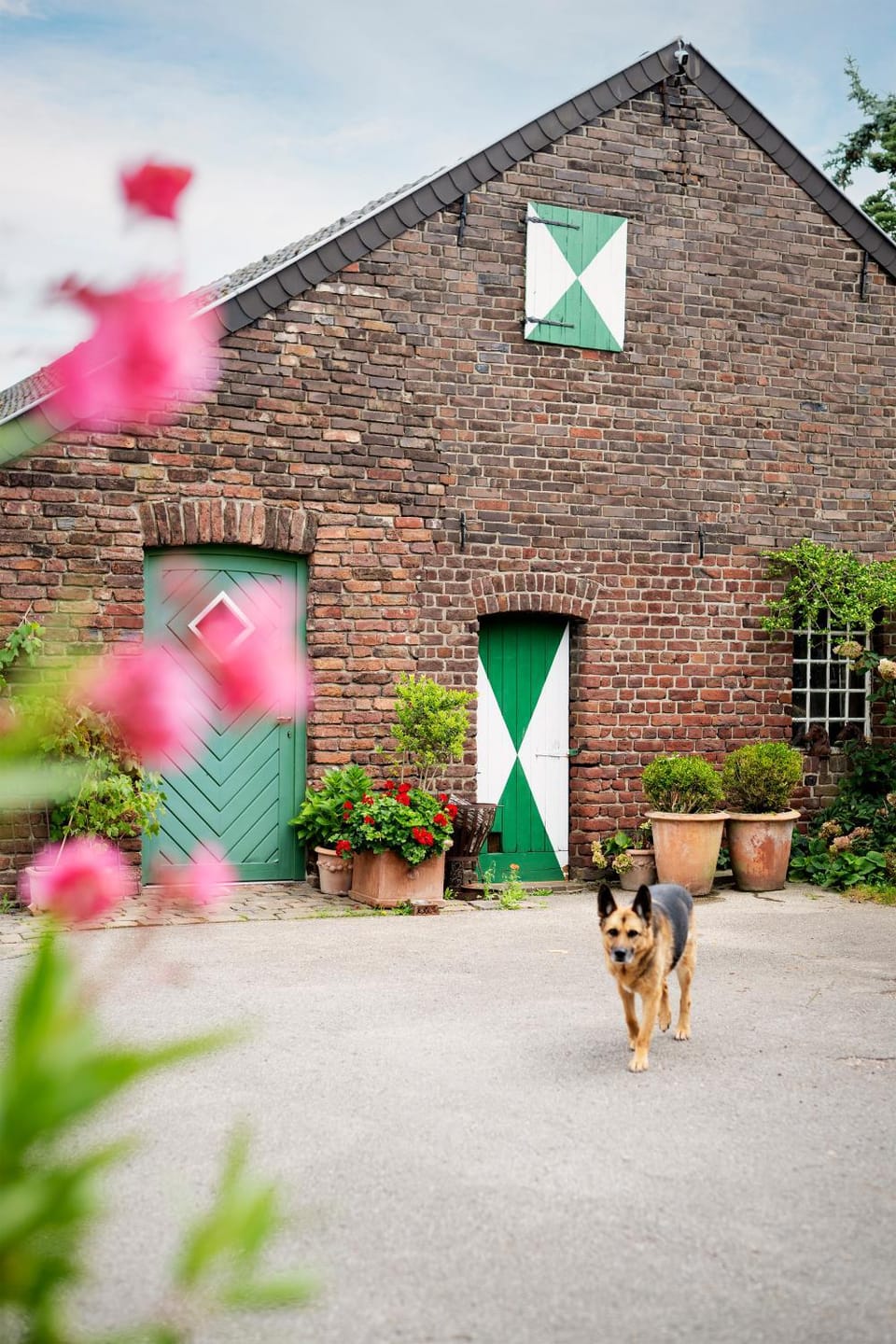 Facade/entrance, Pets