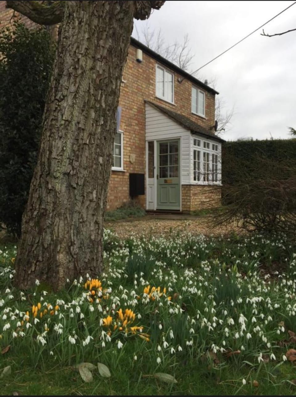 Beech View Cottage 2 House in England