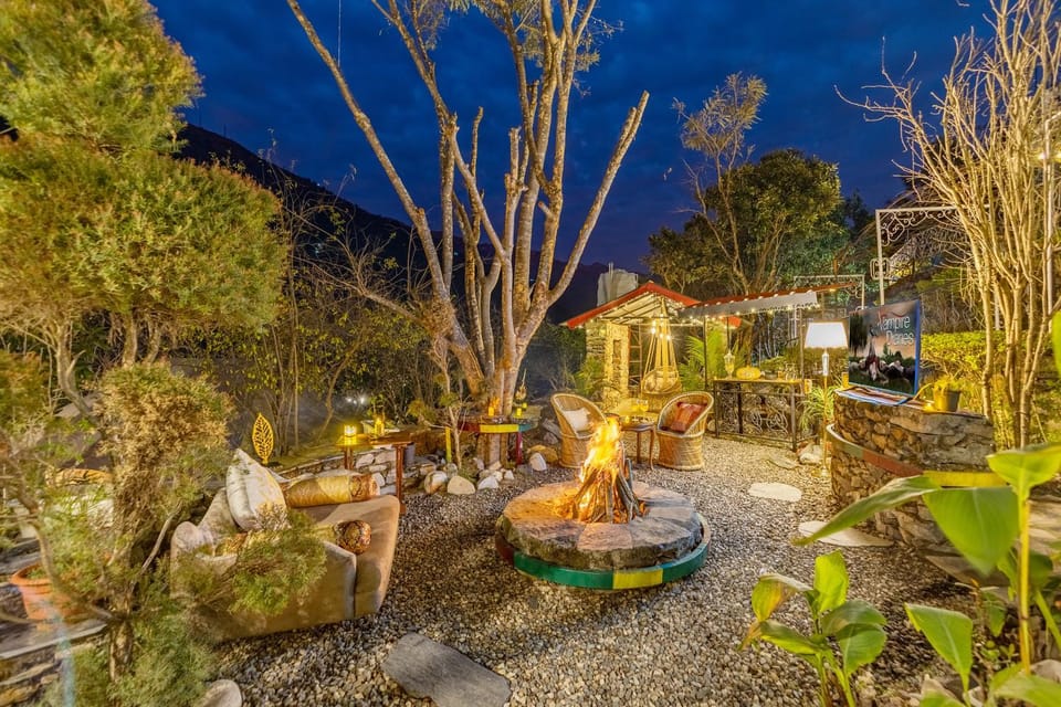 Spring, Garden, Garden view