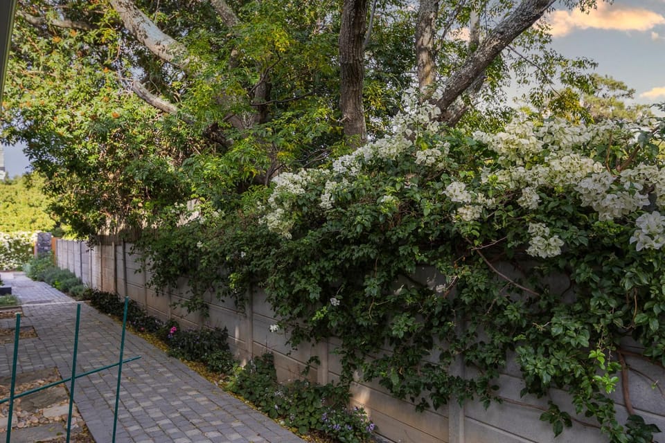 Twelve on Arum Apartment in Cape Town