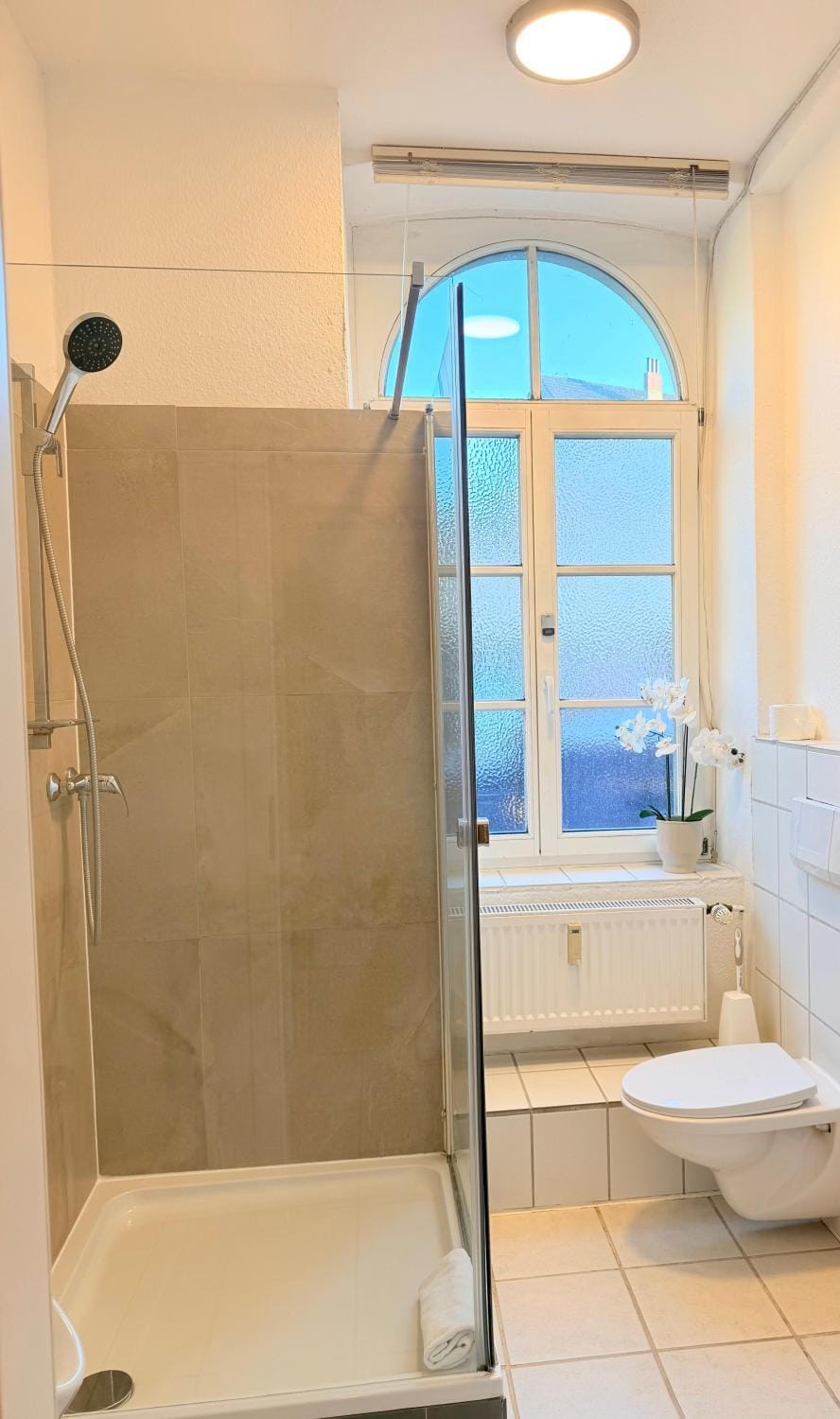 Shower, Toilet