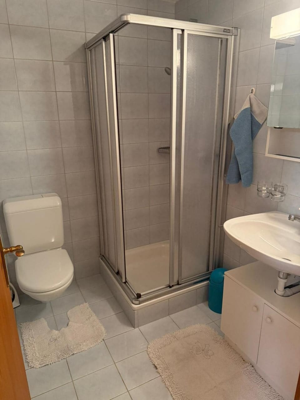 Shower, Toilet