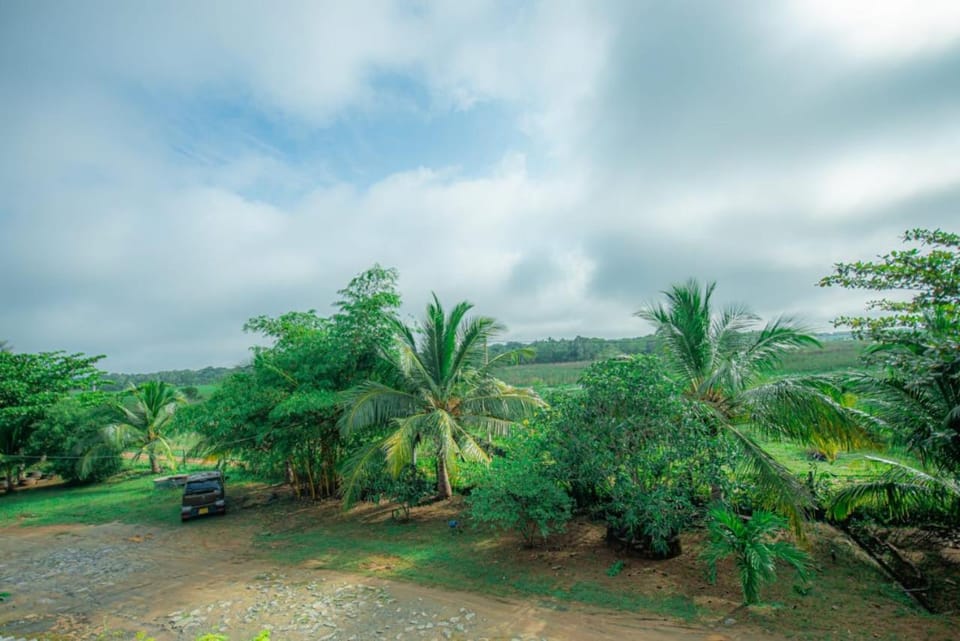 Natural landscape, Garden, Garden view