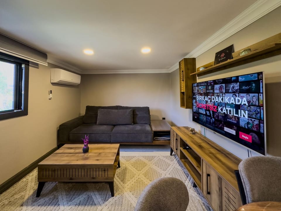 Communal lounge/ TV room, TV and multimedia, Living room, Seating area, air conditioner