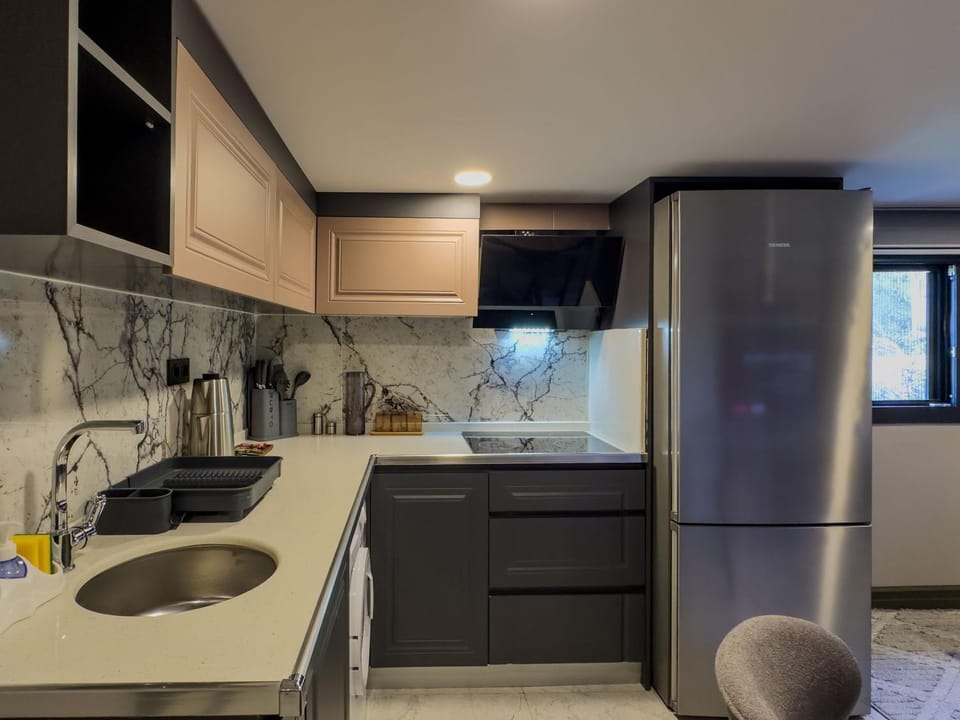 Kitchen or kitchenette, minibar, oven, stove