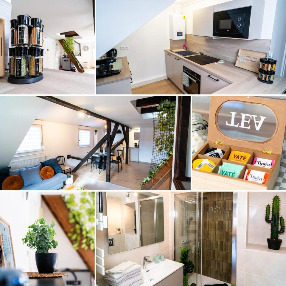 Le Cosy du Brasseur - Magnifique Duplex, Proche Strasbourg Apartment in Strasbourg