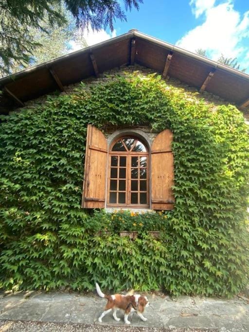 Beautiful stone house with garden - Villa il Poggio House in Piedmont
