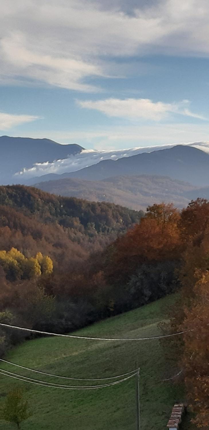 B&B Costalta Bed and Breakfast in Emilia-Romagna