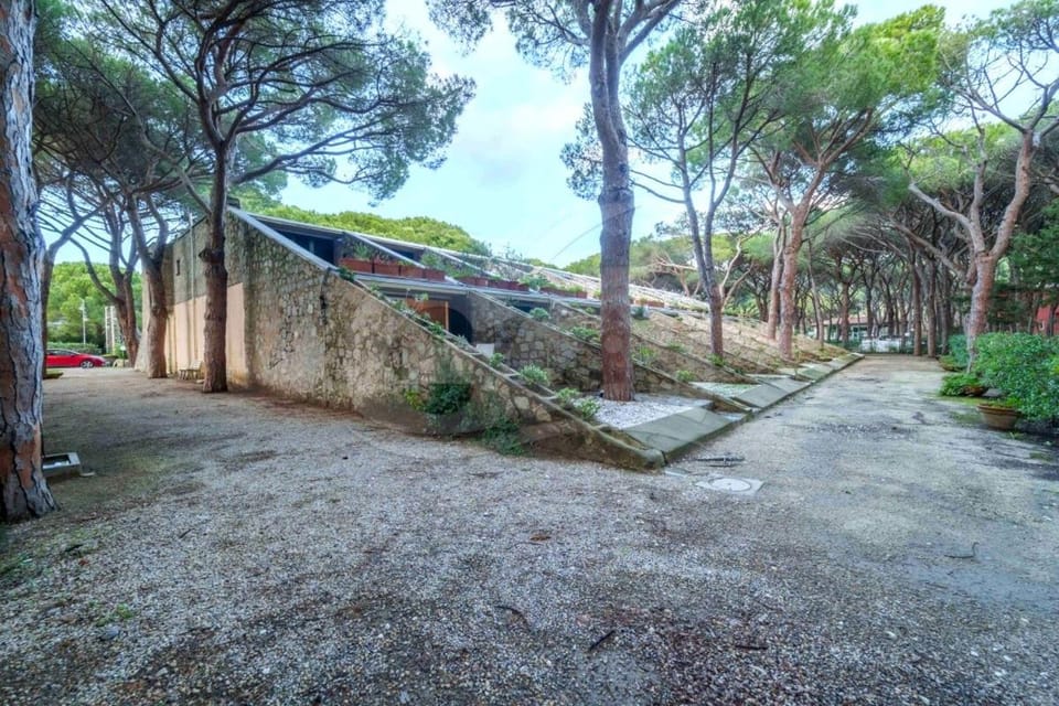 Natural landscape, Garden, Garden view