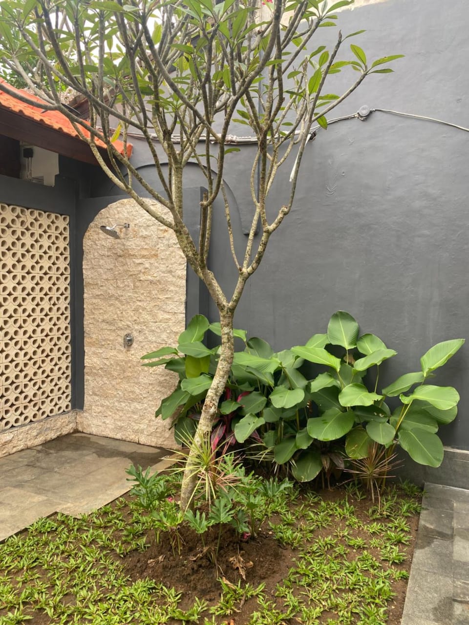 Inner courtyard view