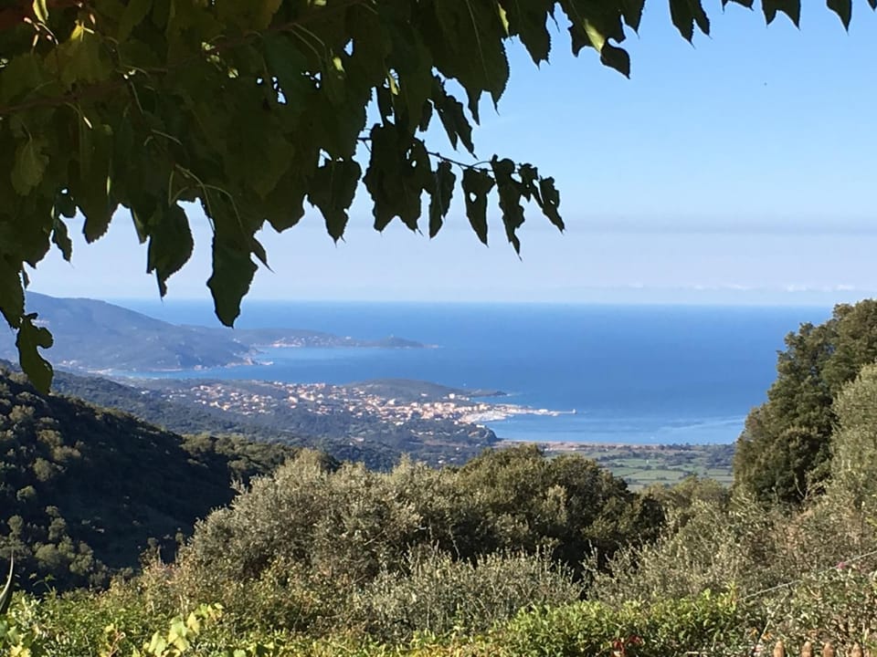 Gîtes ruraux Aria Falcona House in Corsica