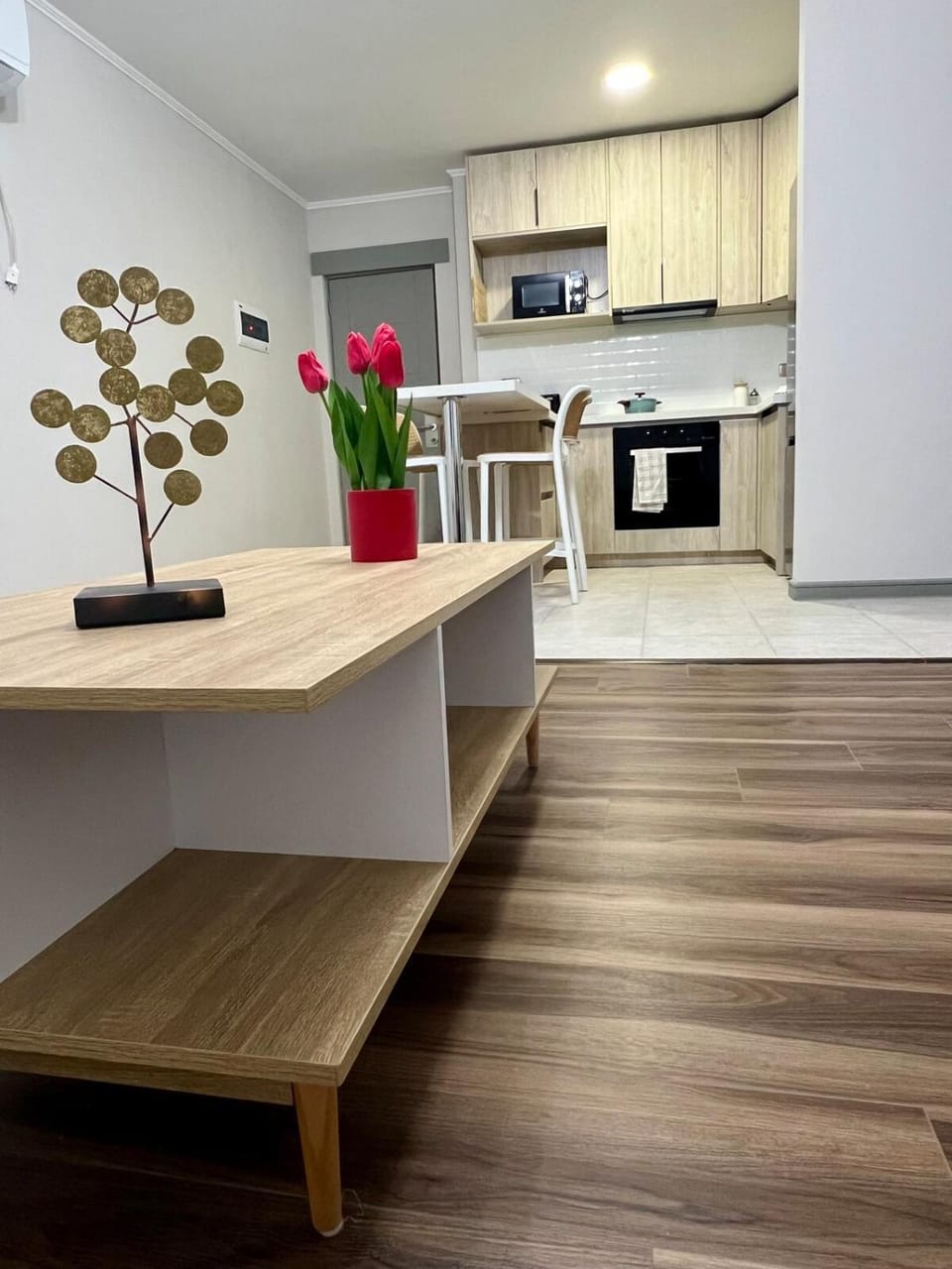 Departamento Boldo Apartment in Puerto Montt