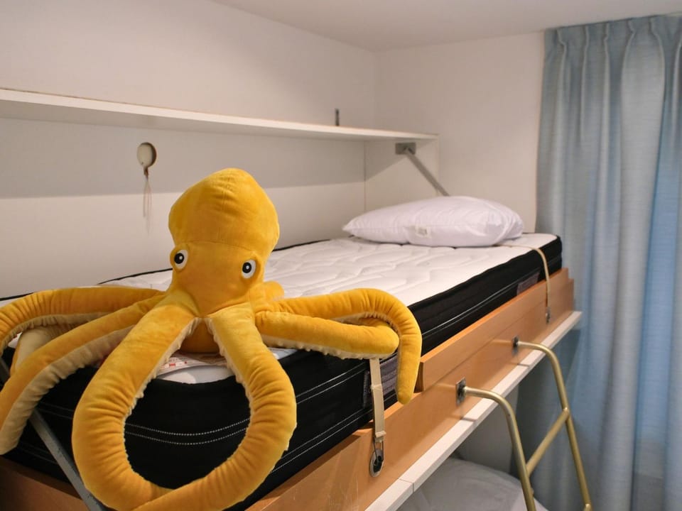 Bed, Night, cot, bunk bed