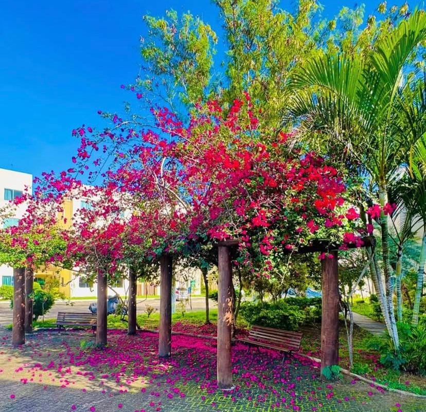 Apartamento no Condomínio Marina Clube Apartment in São Pedro da Aldeia