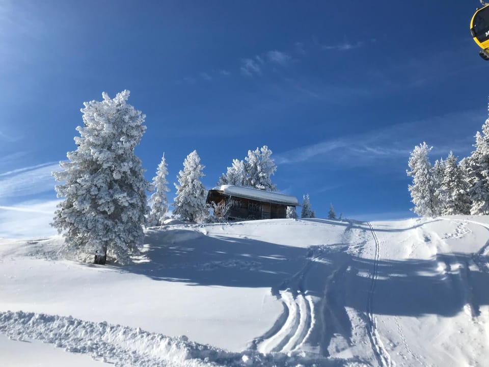 Natural landscape