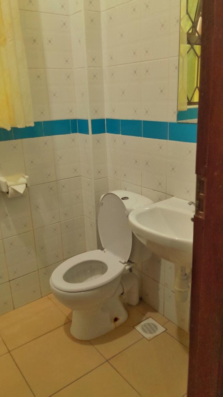Toilet, Bathroom