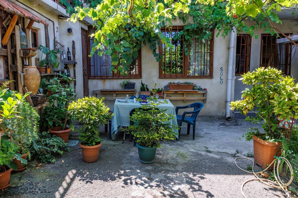Garden, Garden view, Inner courtyard view