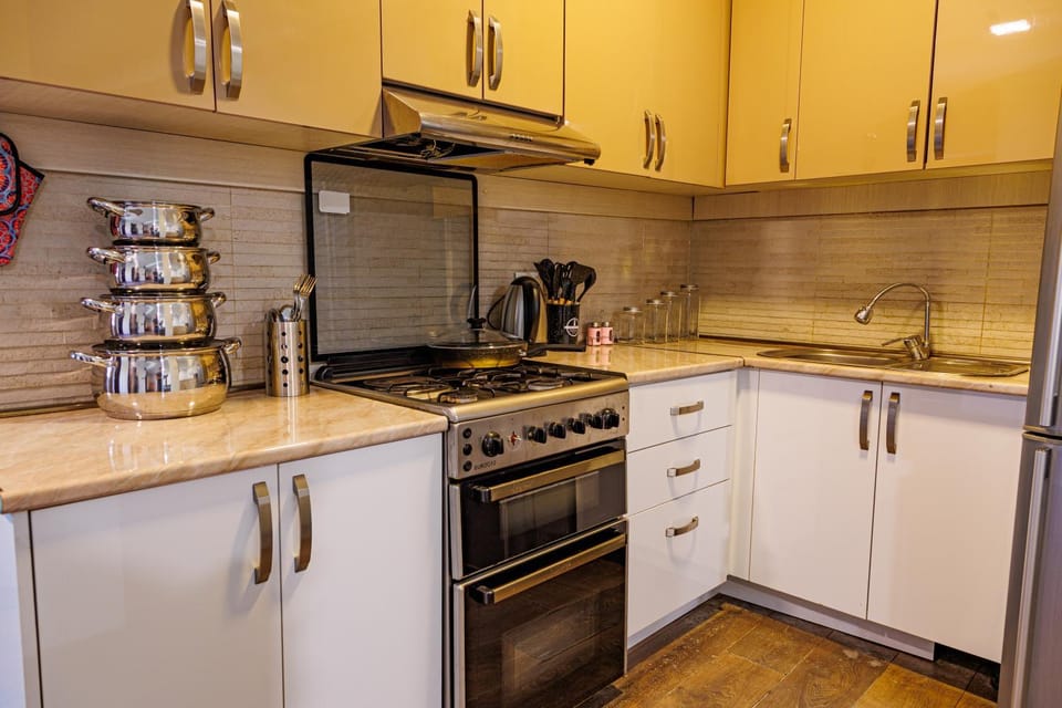Coffee/tea facilities, Kitchen or kitchenette, minibar, stove