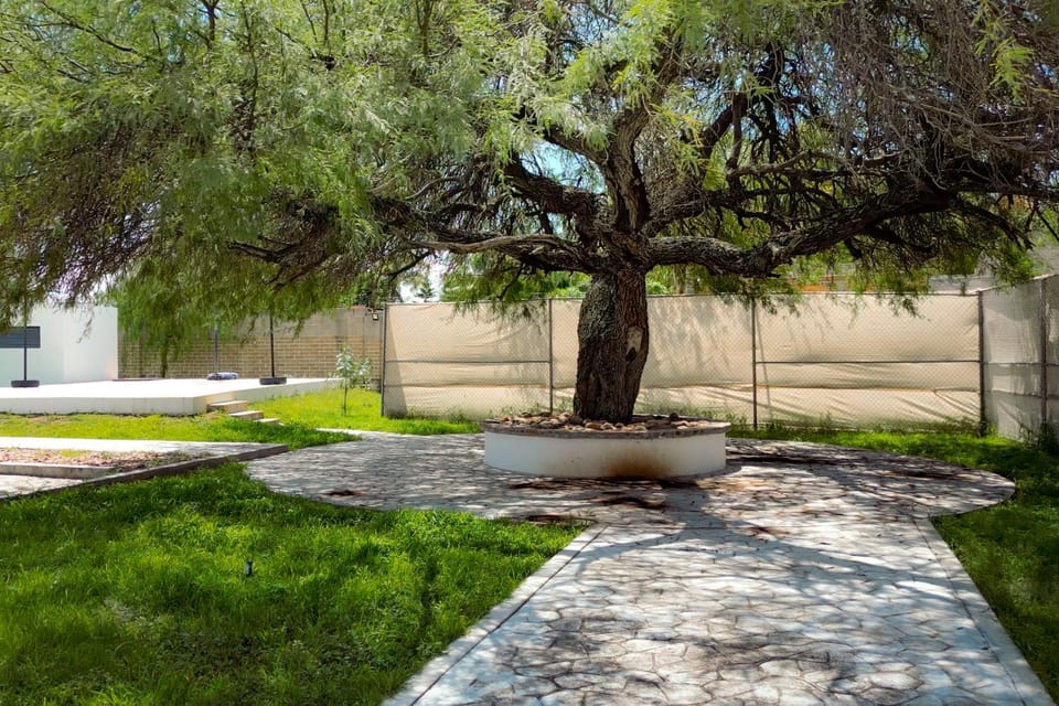 Garden view