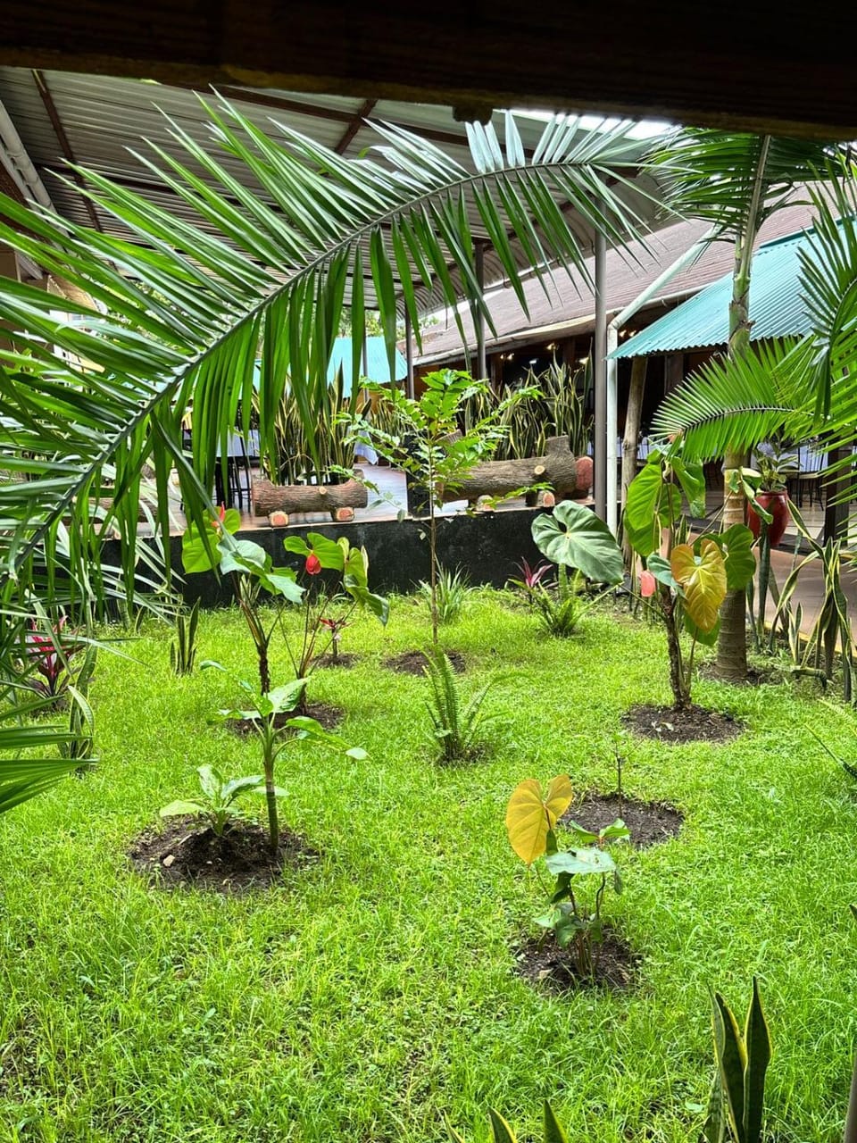 Day, Garden, Garden view