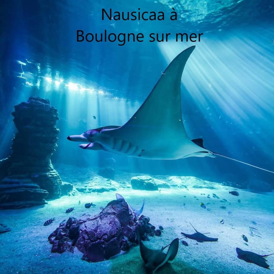 Maison de campagne avec animaux et salle de jeux House in Hauts-de-France