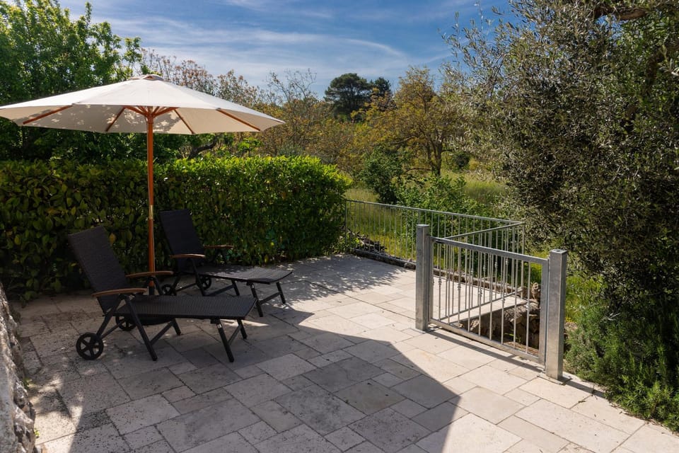 Day, Garden, Garden view, sunbed