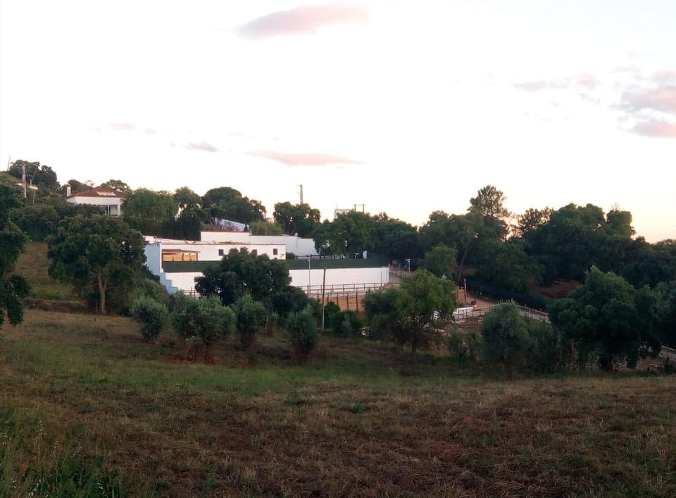 Property building, Location