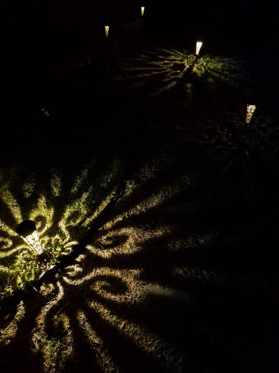 Pu'uwai Place of Volcano Village House in Volcano