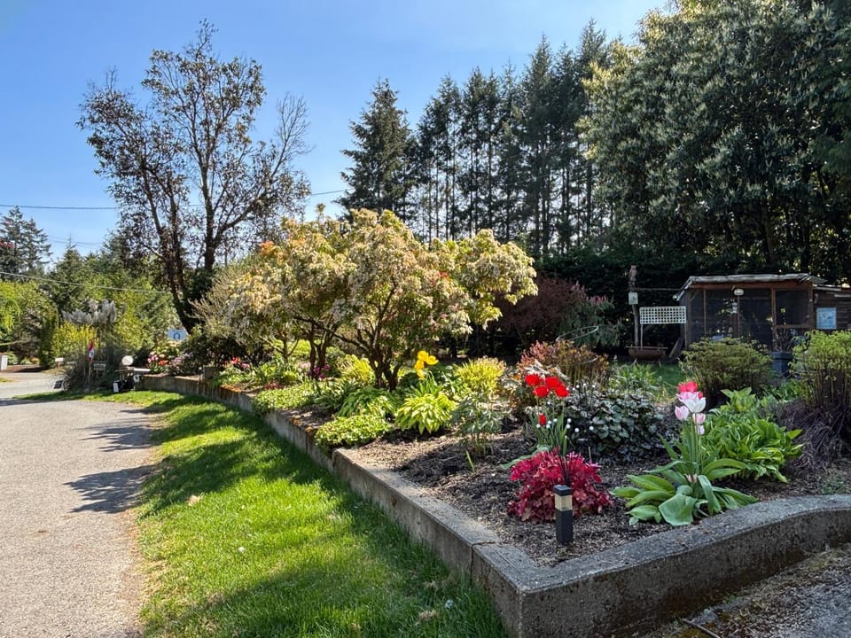 Garden, Garden view