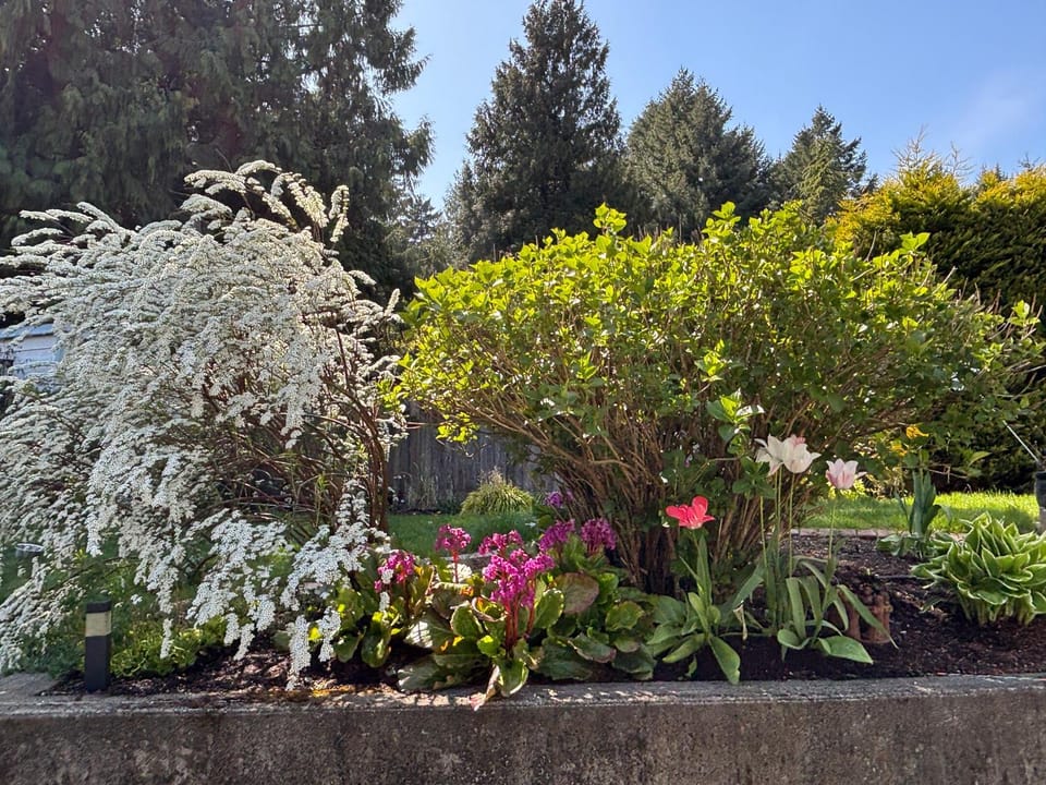 Garden, Garden view