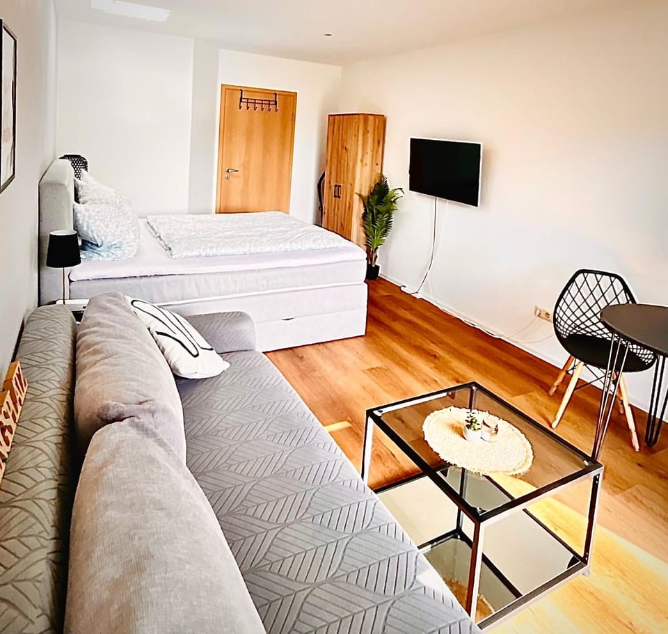 Bed, TV and multimedia, Living room, Photo of the whole room, Bedroom