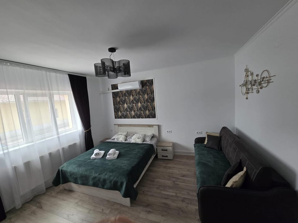 Salin Gold Ap Apartment in Cluj County