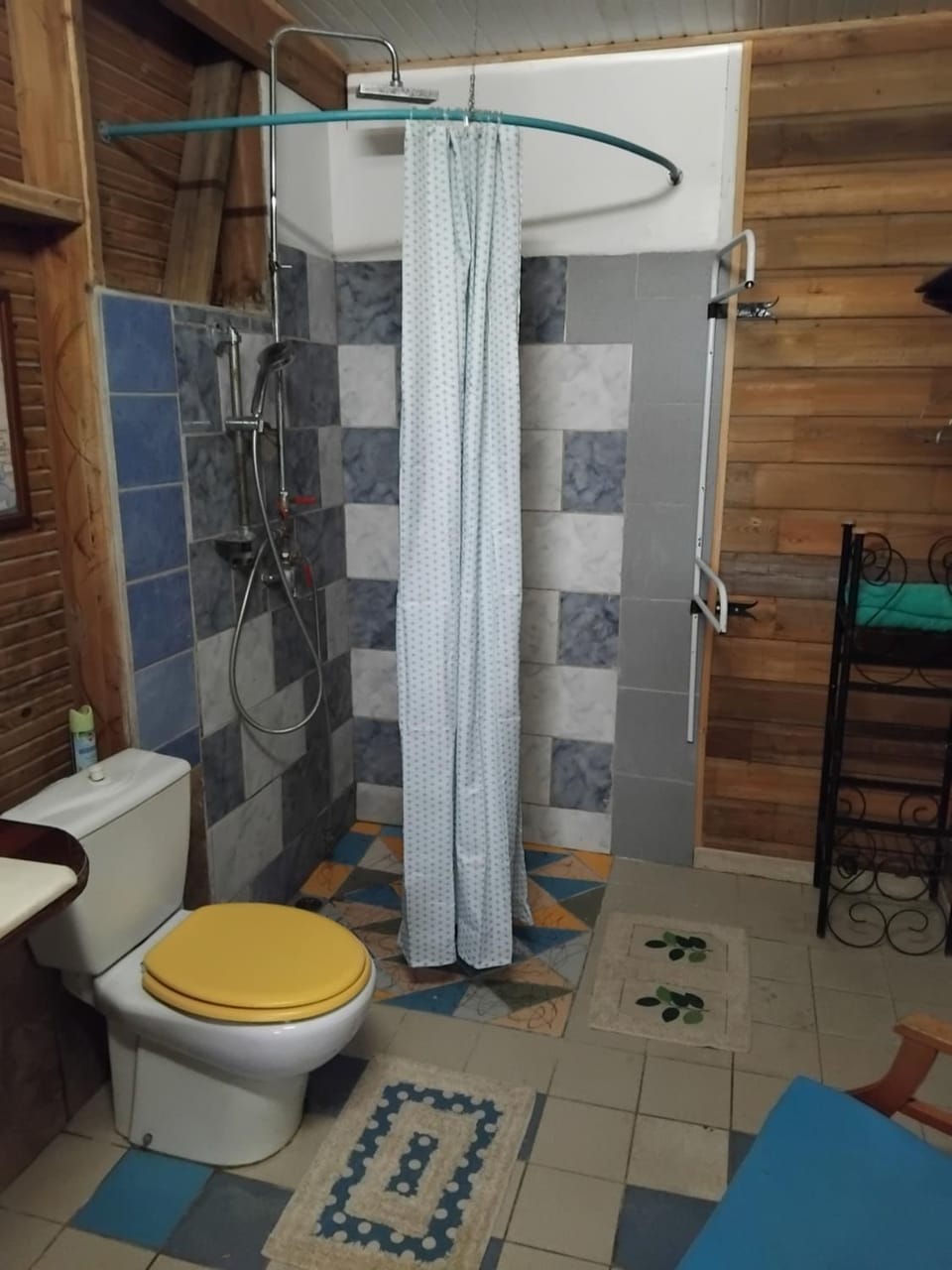 Shower, Toilet
