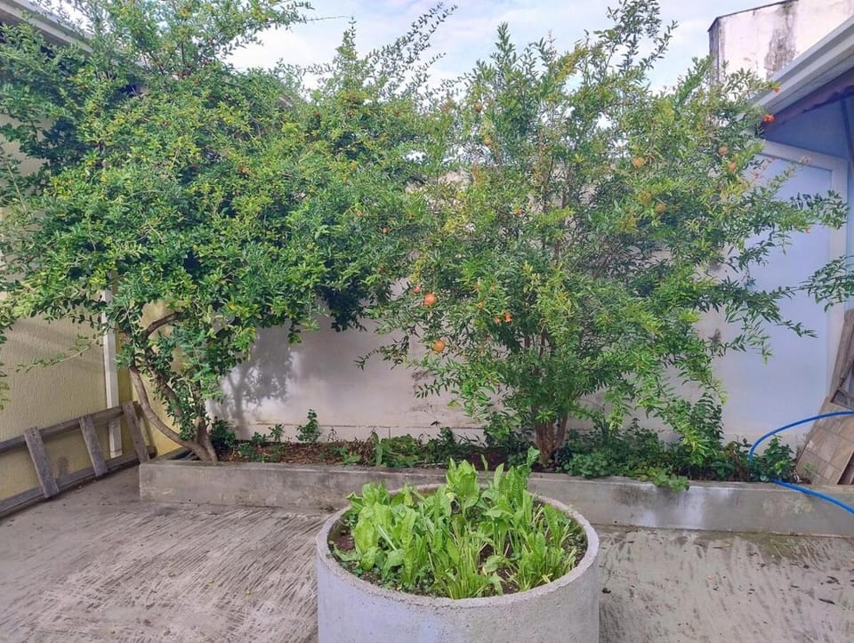 Casa em Joanópolis - SP - Próxima ao centro House in State of São Paulo