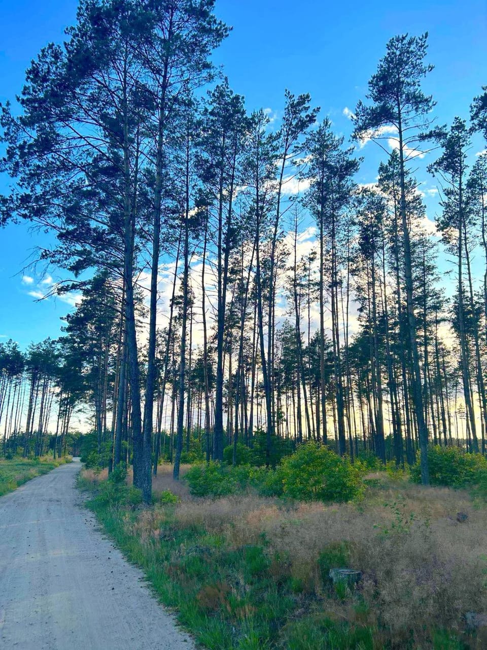 Domek w Ostrowite House in Pomeranian Voivodeship