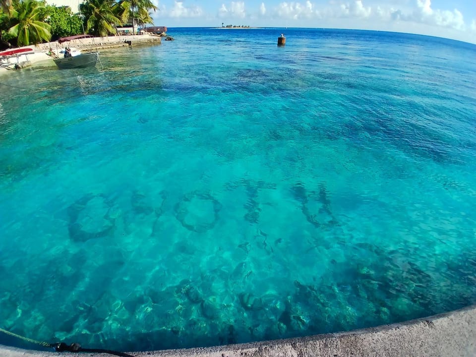 Ohotu-Rangiroa house House in French Polynesia
