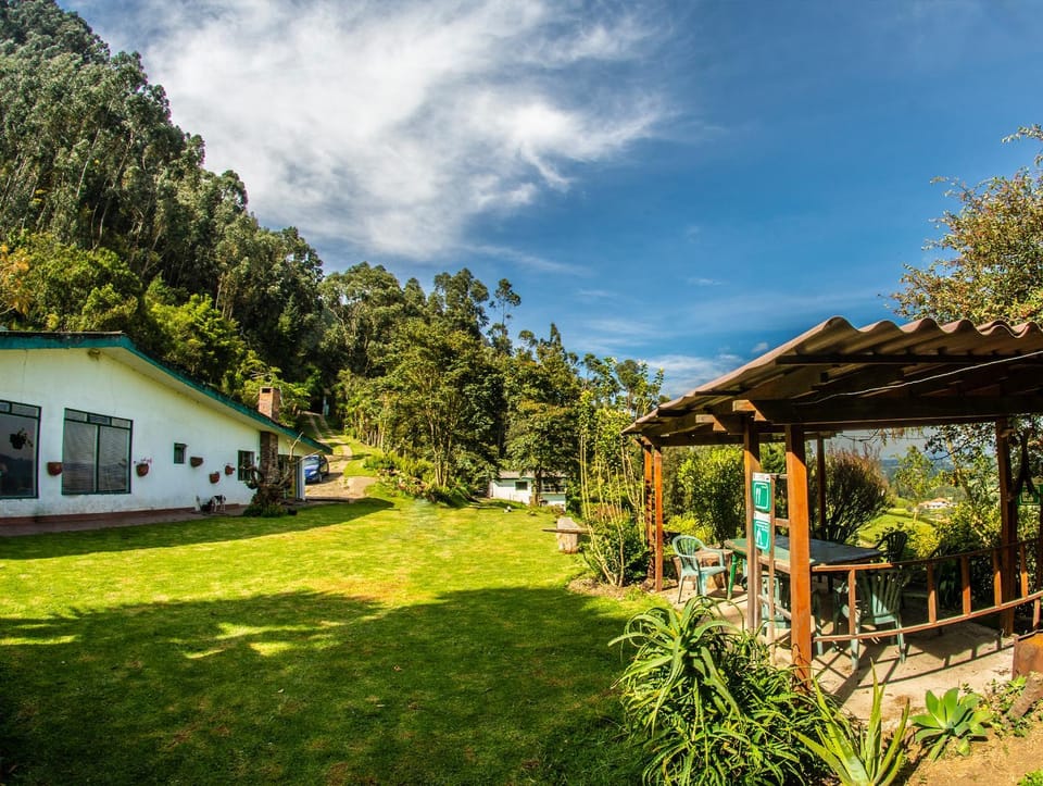 Garden view