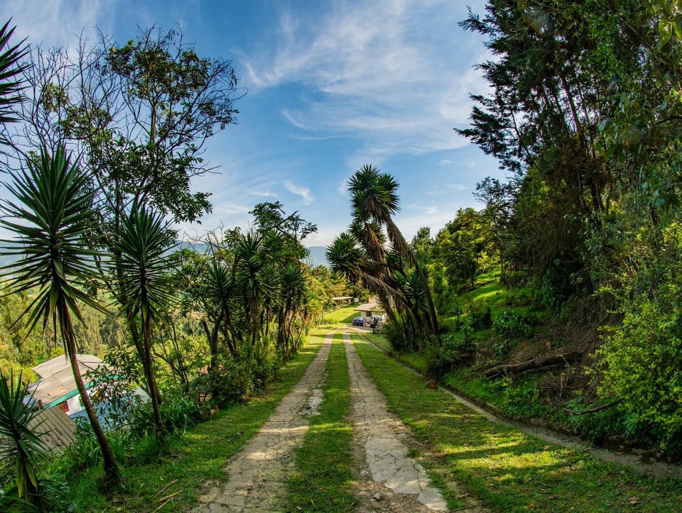 Day