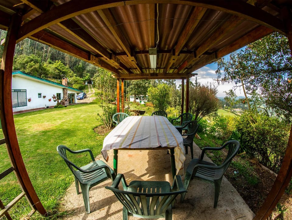 Patio, Spring, Dining area, Garden view