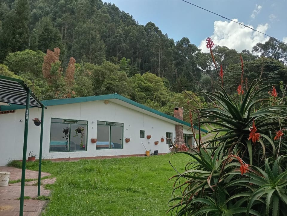 Property building, Spring, Natural landscape, Garden, Mountain view