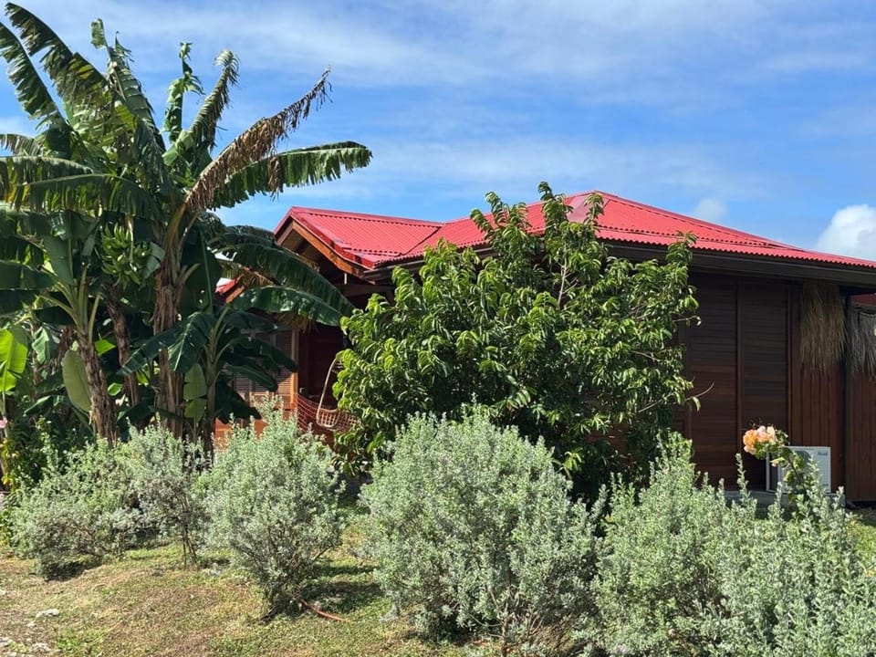Garden, Garden, Garden view