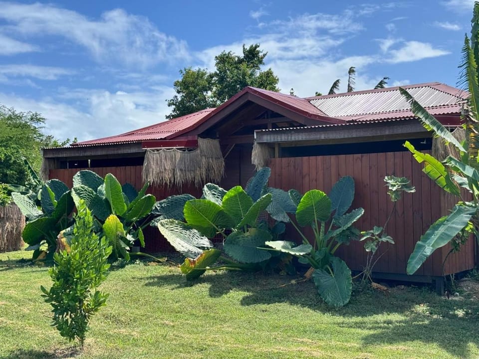 Property building, Day, Garden