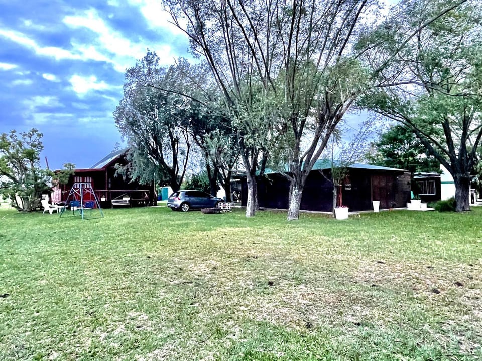 Natural landscape, Garden, Garden view
