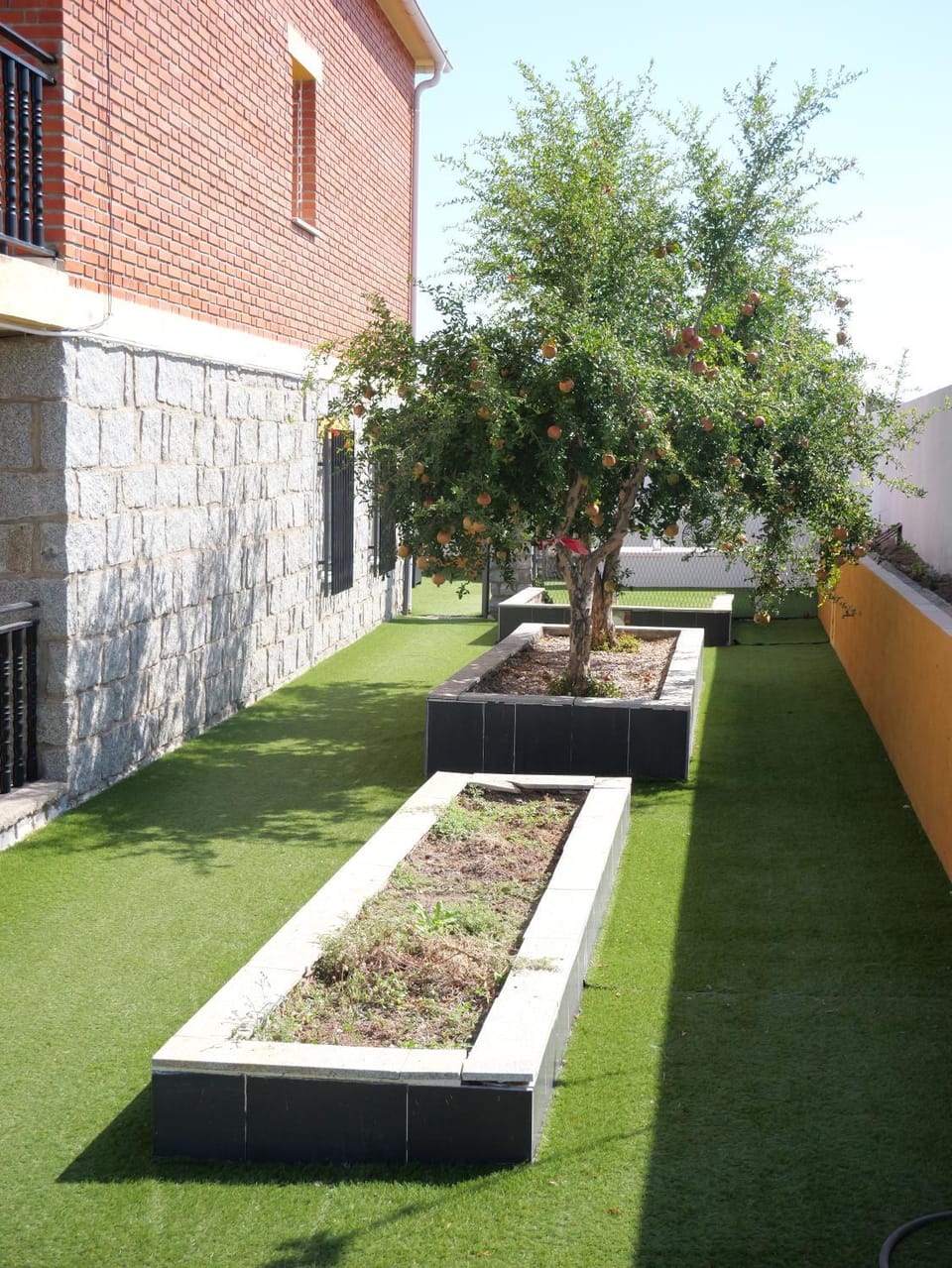 Spring, Day, Garden, Garden view