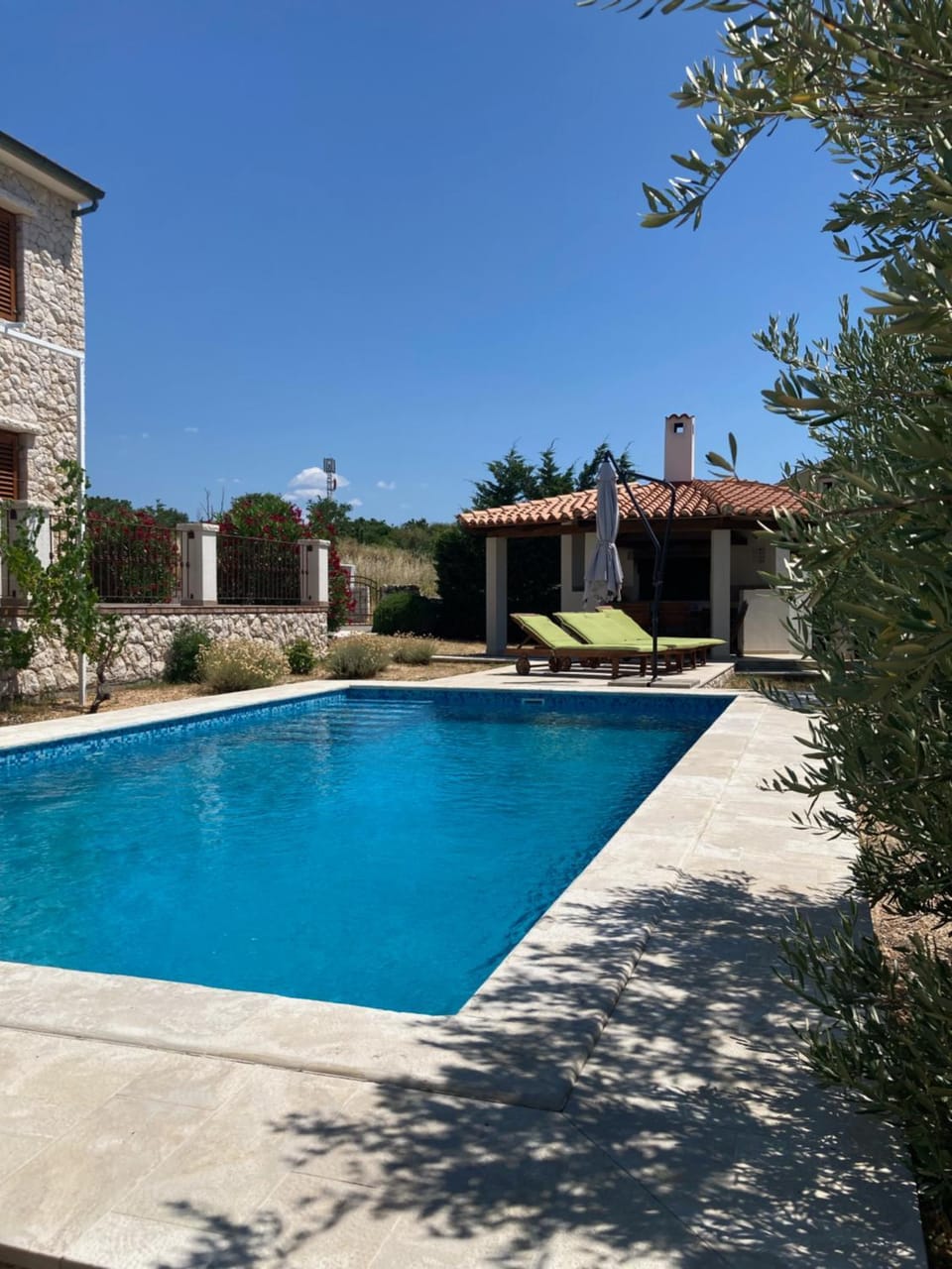 Garden, Pool view, Swimming pool