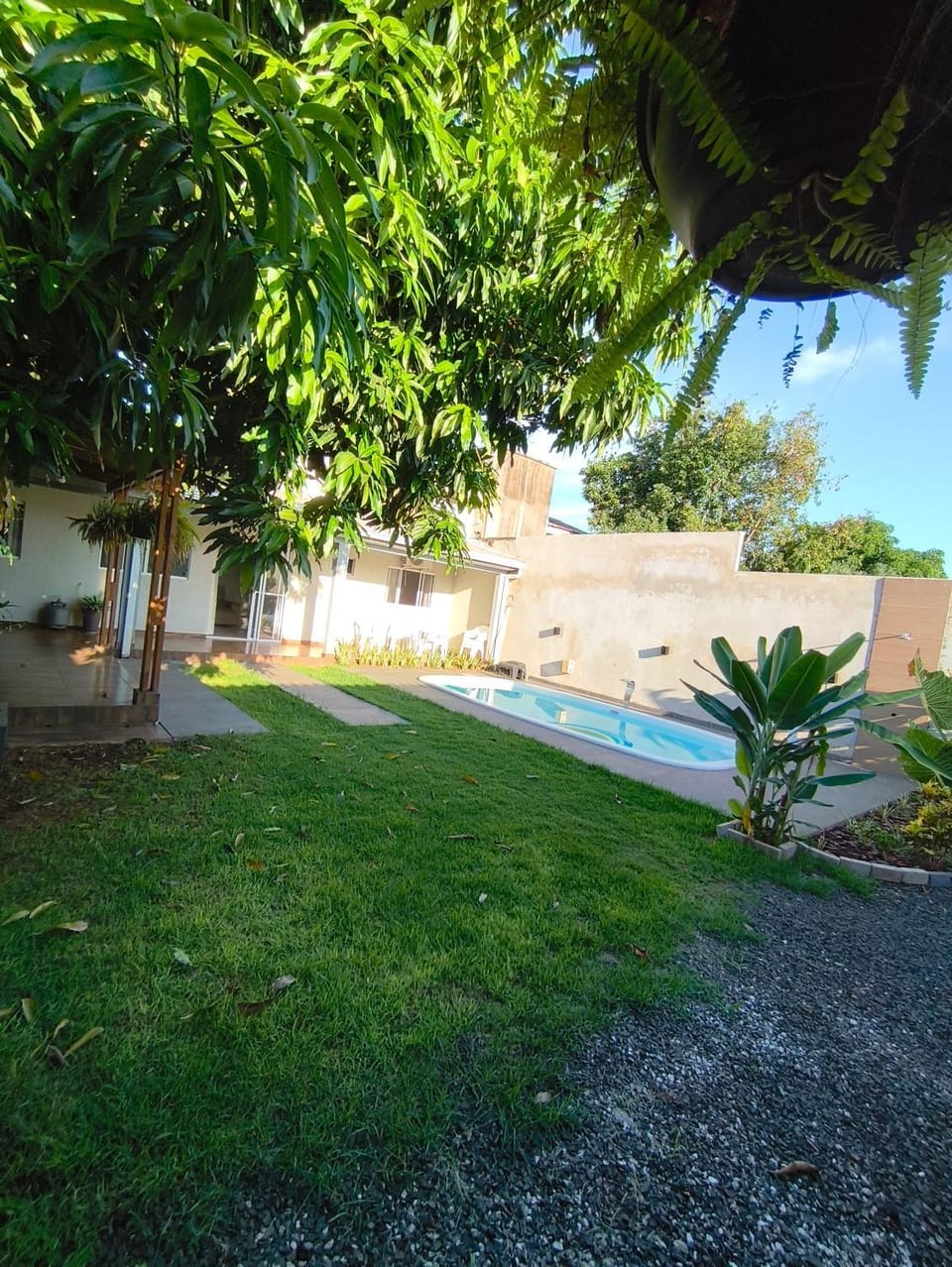Garden view