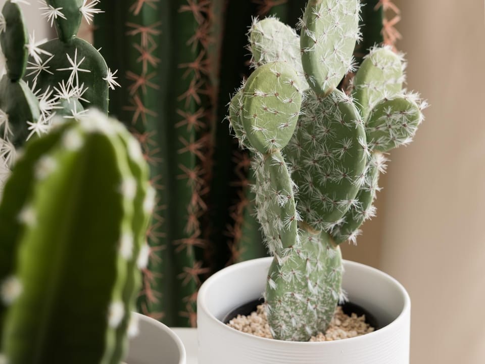 Decorative detail