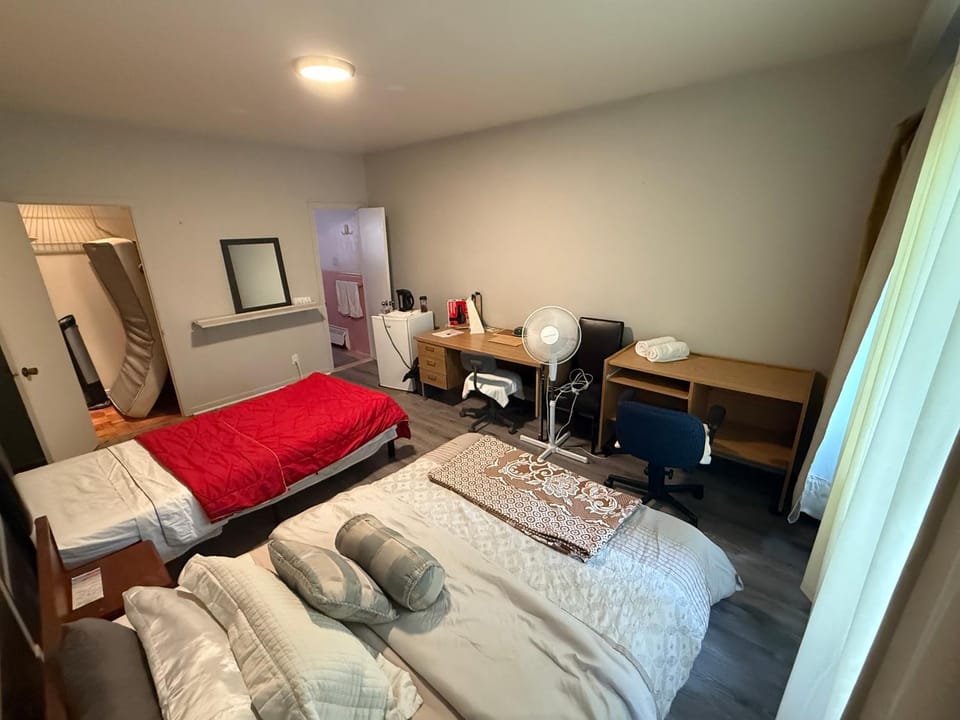 Downtown Montreal Airport 15Mins Apartment in Montreal